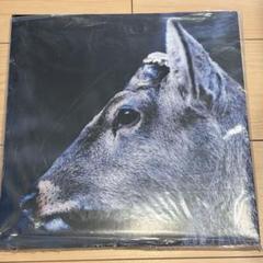 邦楽 toe / The Book About My Idle Plot... LP toe 