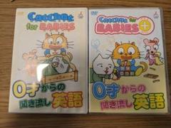 キャットチャット　DVD 7セット キャットチャット DVD 7セット - メルカリ