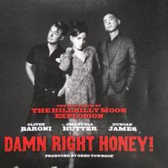 THE HILLBILLY MOON EXPLOSION      5th CDのサムネイル