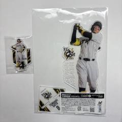 m30904294476_1.jpg?1748960096