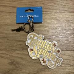 2025年最新】ディズニーシー ファンタジースプリングス キー