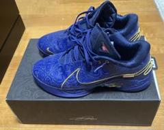 lebron22 レブロン22 バスケットボールシューズ モノポリー