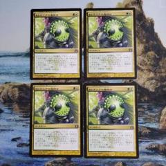 MTG 土地　Land  セレズニア　11枚セット販売 MTG 土地 Land セレズニア 11枚セット販売 - メルカリ