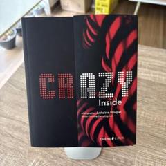 CRAZY Inside アートブック Antoine Poupel
