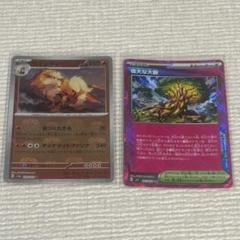 PSA10 ウインディ マスボミラー 2025年最新】ウインディ マスターボールの人気アイテム - メルカリ