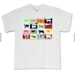 【新品未使用】convenience young Tシャツ 4200025S0305_x1_a001.jpg
