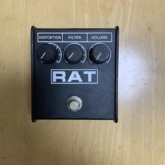 2025年最新】proco rat usaの人気アイテム - メルカリ