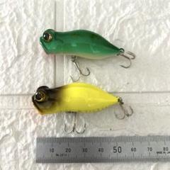 ケロール 4個セット ダンデライオン カモフラージュ ドクガエル ベッコウ ケロール 4個セット ダンデライオン カモフラージュ ドクガエル