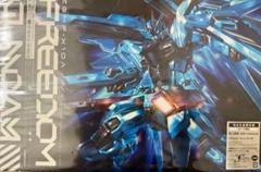 西川貴教FREEDOM 完全生産限定盤 アニメイト特典クリアファイル付き 未開封 FREEDOM ／ 西川貴教 with t.komuro 特典クリアファイル - メルカリ