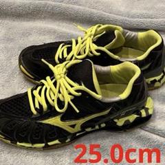 Mizuno Wave Tornado X2シューズ ブルー/イエロー 値下げ】Mizuno Wave Tornado X2シューズ ブルー/イエロー