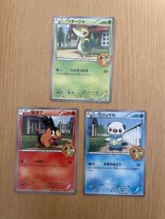 限定製作 ミジュマル ツタージャ ポカブ ポケモンフェア アピタ プロモ ポケモンカードゲーム Cft Hammamet Com