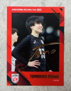 バレーボール 日本代表 男子 2025 小川智大 金箔サインカード