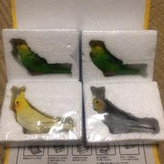 セキセイインコ オカメインコ 4体セット セリア 100均 鳥さん とりさん メルカリ セキセイインコ オカメインコ 4体セット セリア 100均 鳥さん とりさん メルカリ