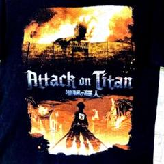★希少★ 進撃の巨人 アニメ Ｔシャツ 半袖 メンズ サイズ M