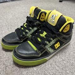 m30987940321_1.jpg?1748141843