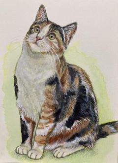 猫の絵 水彩画 原画 三毛猫 - メルカリ