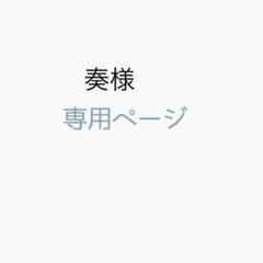専用ページ
