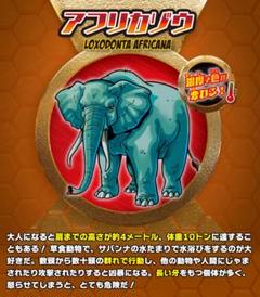 2025年最新】アンドコ ゾウの人気アイテム - メルカリ