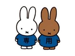 ヴィラロドラ シャンプートリートメントセット