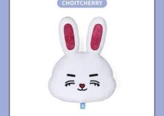 SEVENTEEN miniteen フェイスクッション エスクプス セブチ