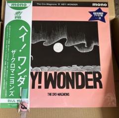 ザ・クロマニヨンズ HEY! WONDER