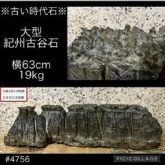 2025年最新】紀州古谷石の人気アイテム - メルカリ