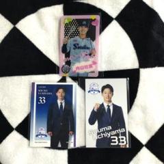 ヤクルトスワローズ　内山壮真　ファン感謝DAY グッズセット 東京ヤクルトスワローズ#33内山壮真選手グッズセット - メルカリ