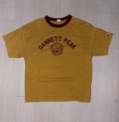 Champion 復刻トリコタグGANNETT PEAK Tシャツ L