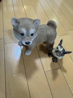 柴犬とアヒルの置物セット
