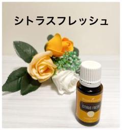 Amazon.co.jp: ペパーミント 15ml ヤングリビング : ドラッグストア