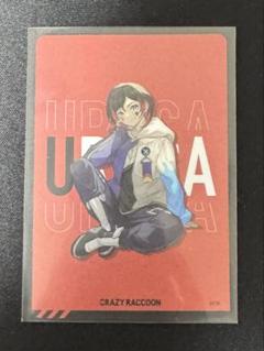 CRチップス うるか まとめ売り