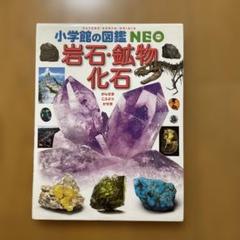小学校の図鑑 NEO 岩石・鉱物・化石