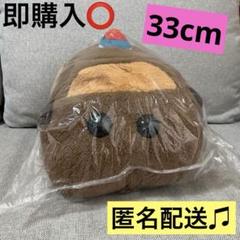 PUI PUI モルカー ほっこりいやされ でっかいぬいぐるみ 教習テディ