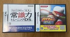 パワプロクンポケット11 ニンテンドーDS