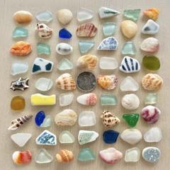 898、天然シーグラス　貝殻　カラフル　ハンドメイド　結婚証明書　シー陶器