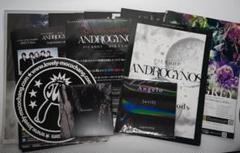 ANDROGYNOUS 2017 DVD 豪華版未開封品　フライヤー 2025年最新】androgynos dvdの人気アイテム - メルカリ