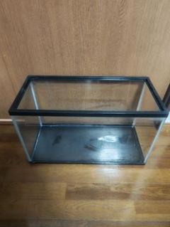 楽天市場】ニッソー スライドプラス600 水槽セット 60cm