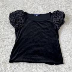 エムズグレイシー　 パイナップル　Tシャツ　半袖　カットソー　スパンコール　40 エムズグレイシー パイナップル Tシャツ 半袖 カットソー