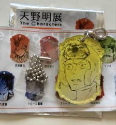 56個 天野明展 メタリックアクリルチャームコレクション 新品未開封 10個 家庭教師ヒットマンREBORN! 天野明展 メタリックアクリル