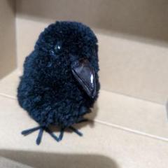小鳥ぽんぽんカラスさん
