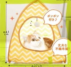 ねこのきもち付録　３６点 特典・ふろくのご紹介| 愛猫の健康・育て方がわかる雑誌「ねこの