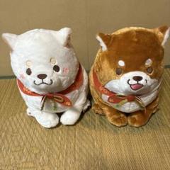 忠犬もちしば　10周年ゴージャスBIGぬいぐるみ 2体セット