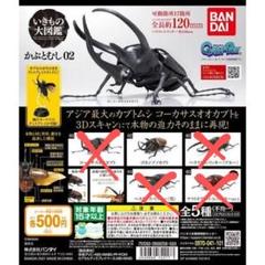 2025年最新】かぶとむし02の人気アイテム - メルカリ