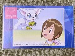 八神ヒカリ&テイルモンの中古/未使用品 - メルカリ