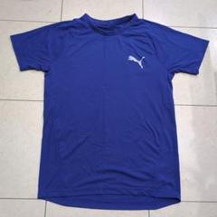 ブーマ　Tシャツ　Мサイズ