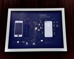 iPhone 5 White標本アートBlack Edition iPhone 5 White標本アートBlack Edition