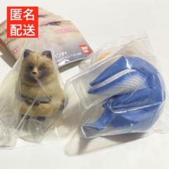 新品未開封 まちぼうけ11 どうぶつ ガチャガチャ タヌキ シロナガスクジラのサムネイル