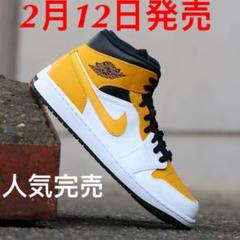 稀少❗️❗️人気完売❗️❗️新品Air Jordan 1