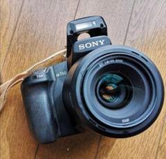 ソニーα350 + 35mm f1.8