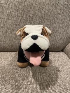 MINI ブルドッグ　ぬいぐるみ　犬